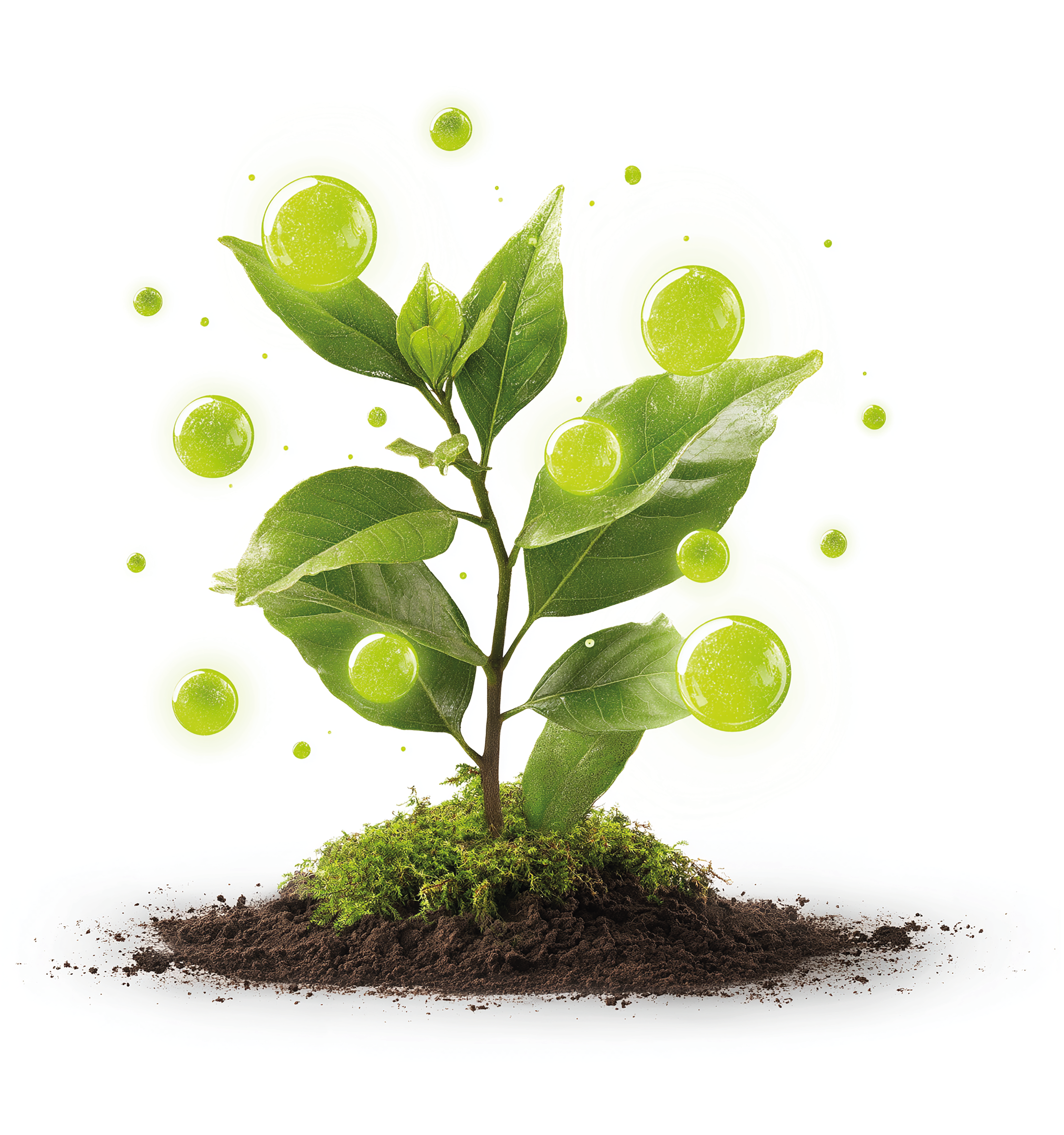 Planta con tecnología