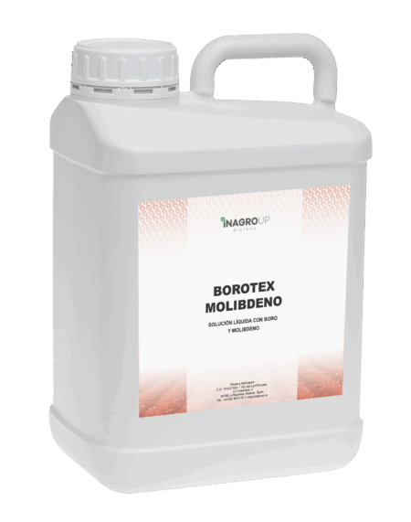 BOROTEX MOLIBDENO