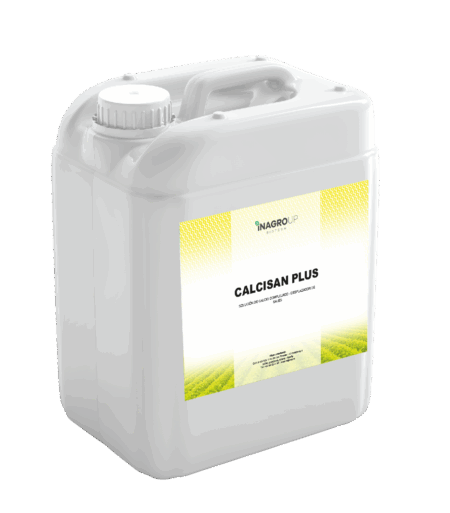 CALCISAN PLUS