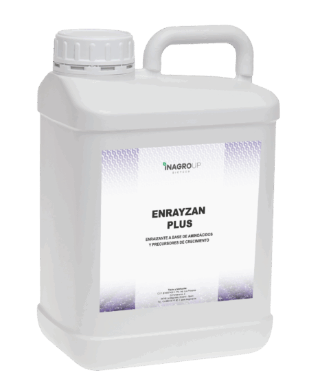 ENRAYZAN PLUS